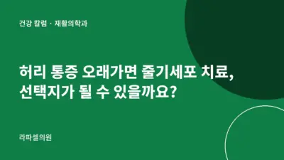 강남 허리 통증 줄기세포 치료, 선택지가 될 수 있을까요?