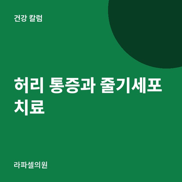 허리 통증과 줄기세포 치료